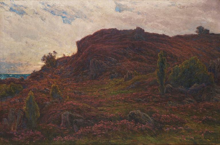 Ljunghed, Motiv från Arild.