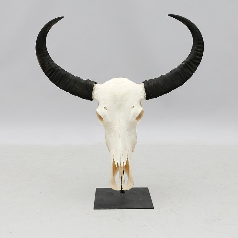 SKULPTUR, 2000-tal.