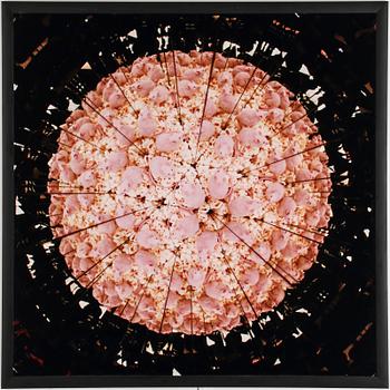 STEFAN HOLM, fotografi, signerat och daterat -96 samt numrerat 1/25 a tergo.