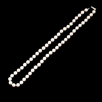 COLLIER, odlade pärlor, lås 18K vitguld.