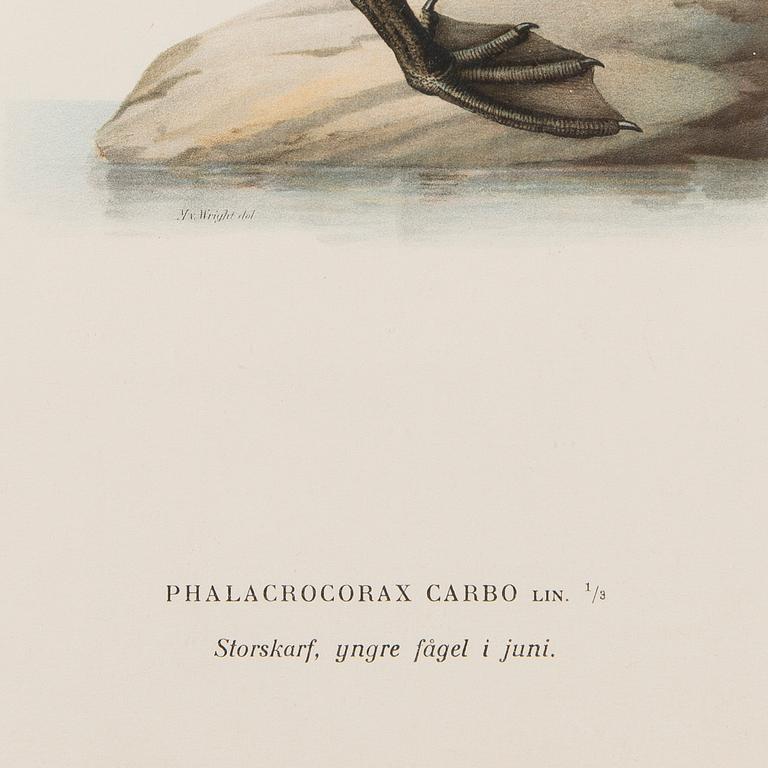 LITHOGRAPHS, 5 pcs, after Wilhelm von Wright and Bror Hallberg. A. Börtzell, Stockholm.