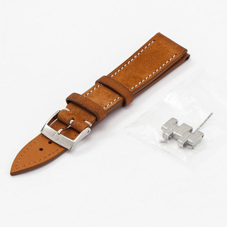 Omega Seamaster, Jaques Mayol limited edition / Dolphin, 36 mm, steel, automatic, sapphire crystal.