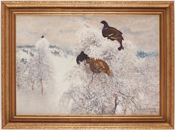 Bruno Liljefors, "Orrar i vinterlandskap" (Winter landscape with black grouse).