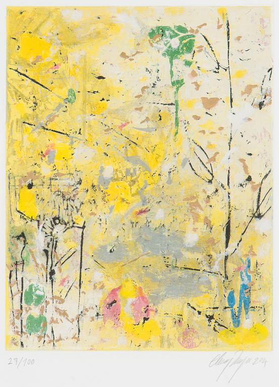 Canal Cheong-Jagerroos, Sommitelma.