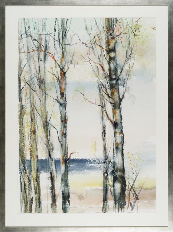 NANDOR MIKOLA, BIRCHES.