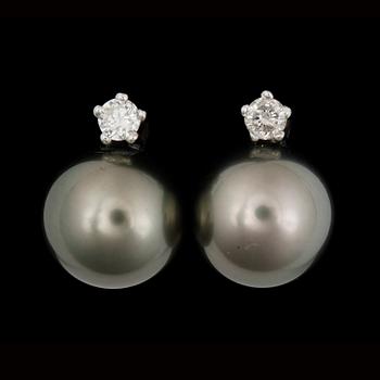 ÖRHÄNGEN, ett par,18k vitguld med tahitipärla samt brijantslipade diamanter tot ca 0,39 ct.