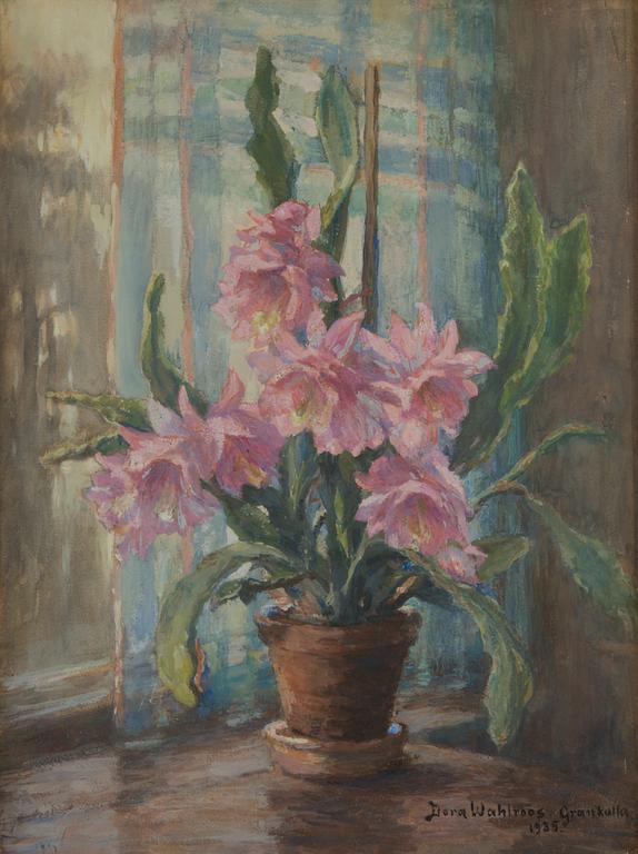 Dora Wahlroos, Blommande kaktus.