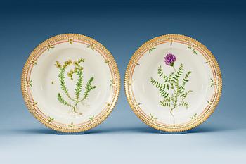 673. A set of 12 Royal Copenhagen 'Flora Danica' soup dishes, 20th Century.