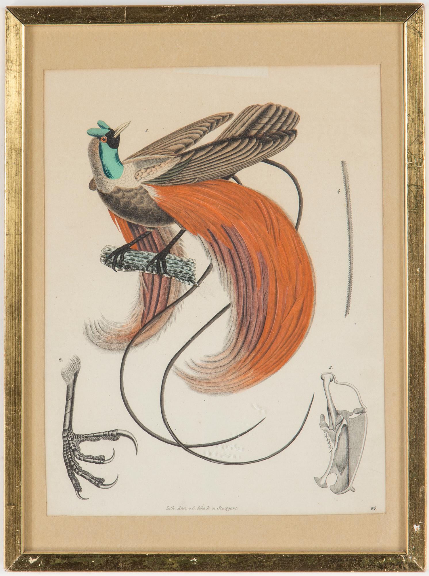 LITOGRAFISKA TRYCK, 4 st,handkolorerade, bl.a. Frankrike och Stuttgart, Tyskland, 1900-talets första hälft.