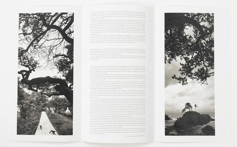 Pentti Sammallahti, "Sammallahti".