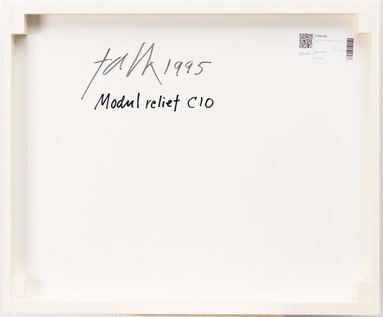 Lars Erik Falk, "Modul relief C10".