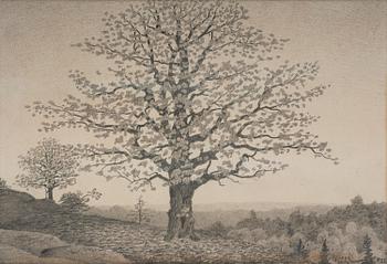 538. Oskar Bergman, Landscape with flowering Oak.