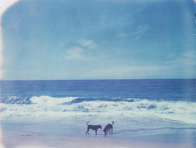 Dan Isaac Wallin, photograph signed and numbered 1/50.