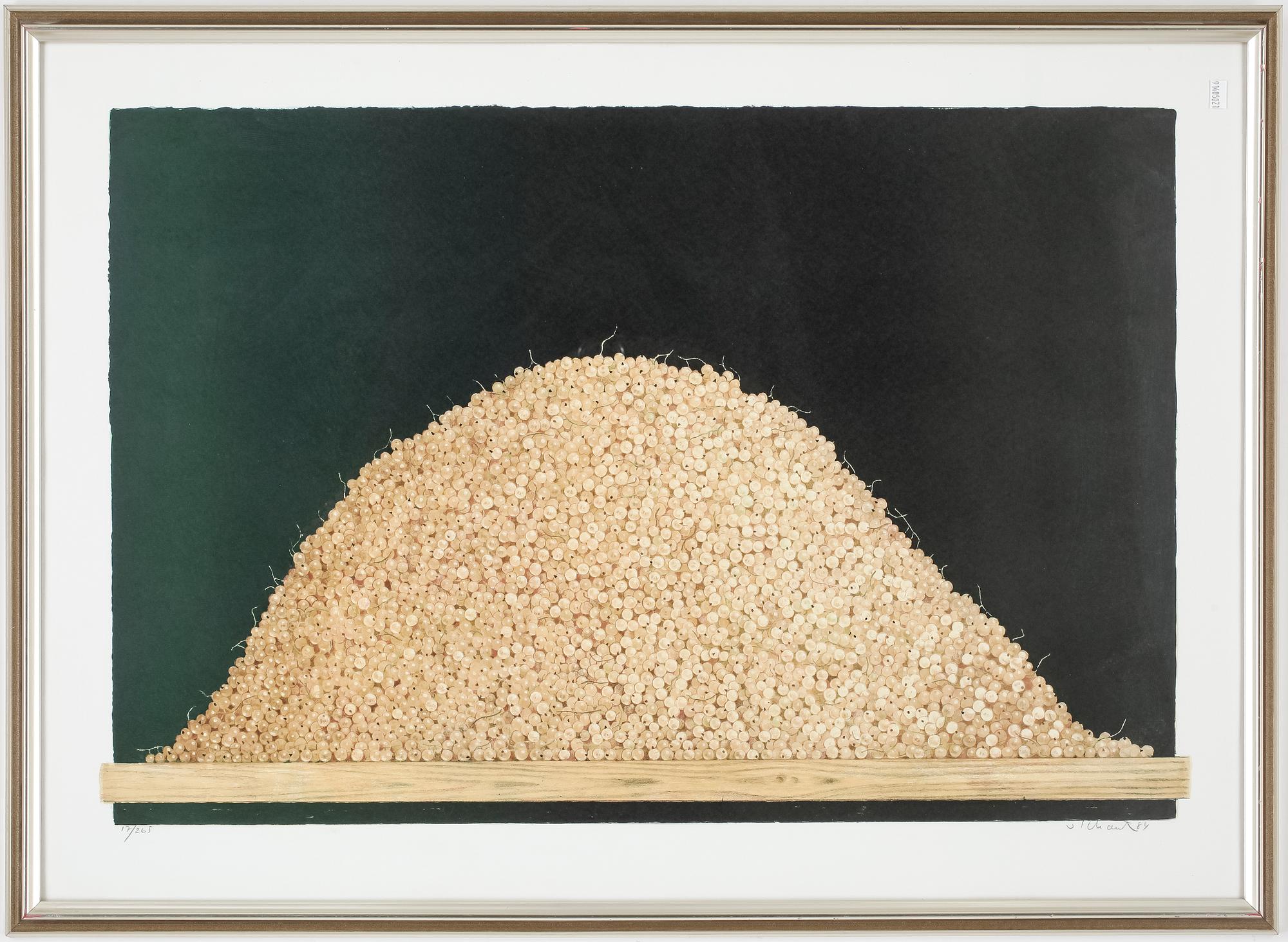 PHILIP VON SCHANTZ, färglitografi, signerad och numrerad 17/265.