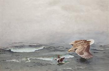 563. Bruno Liljefors, Eagle and Long Tailed Duck.