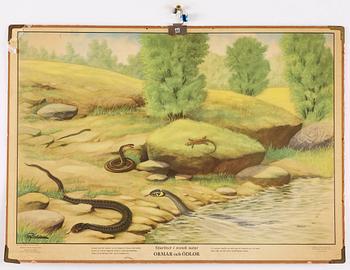 SKOLPLANSCHER, 2 st, Gunnar Saietz AB, 1900-talets mitt.