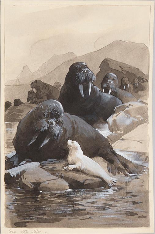 DAVID LJUNGDAHL, eight original ink illustrations from the 1915 edition of 'The Jungle Book' in Swedish.