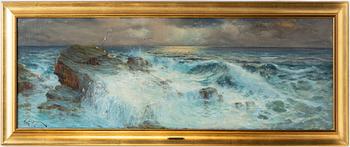Emanuel Hospberger, Surfacing swell.