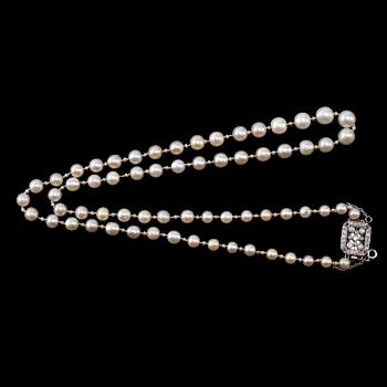 425. A NECKLACE, cultivated sea water pearls 2-8 mm. Old cut diamonds c. 0.60 ct. rubies. Clasp 18K gold.