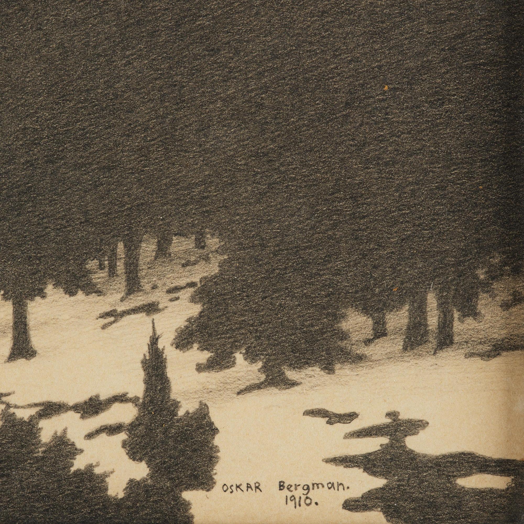 Oskar Bergman, Winter in the archipelago.