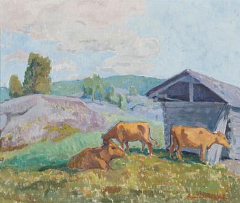 Reino Viirilä, Cows out on pasture.