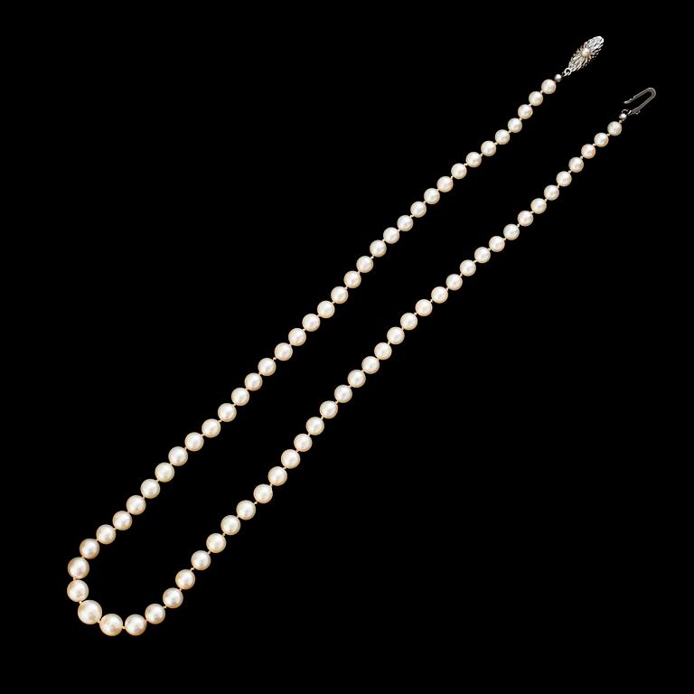 PÄRLCOLLIER, odlade sötvattenpärlor.