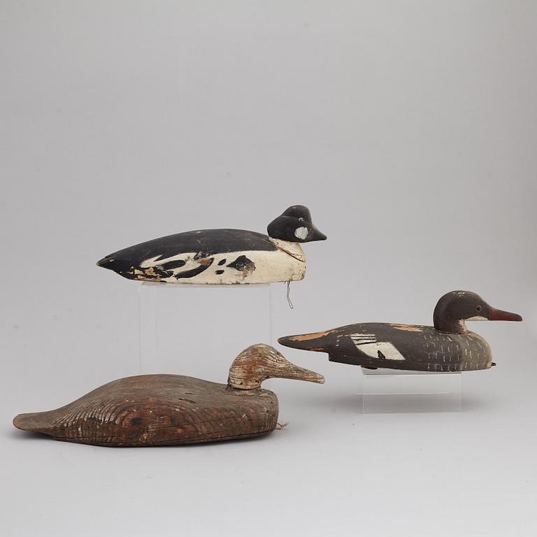 Five painted wood imitation duck, mostly first half of the 20th century.