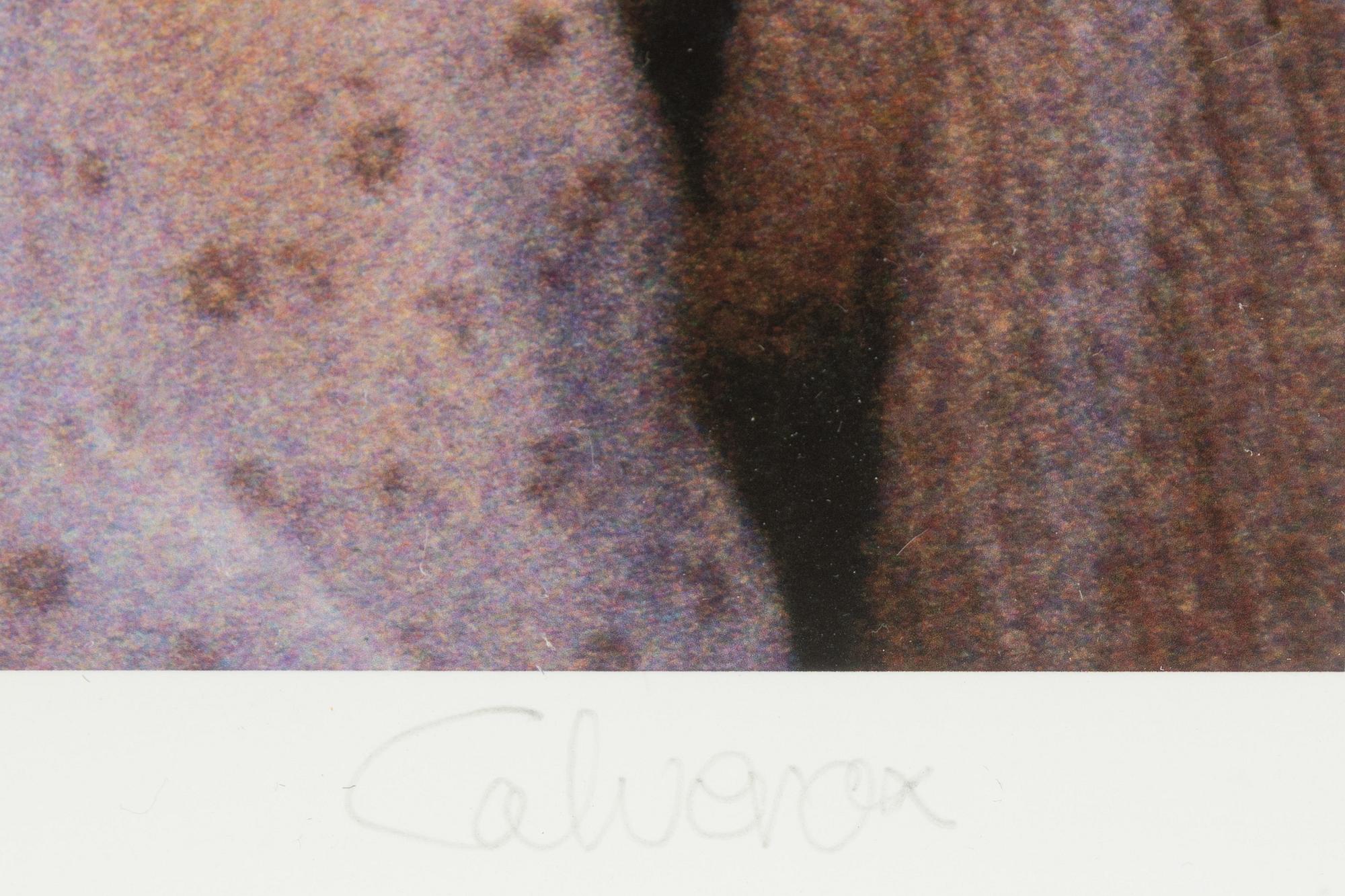 Torbjörn Calvero, "Agneta och Frida", 1978/2015.