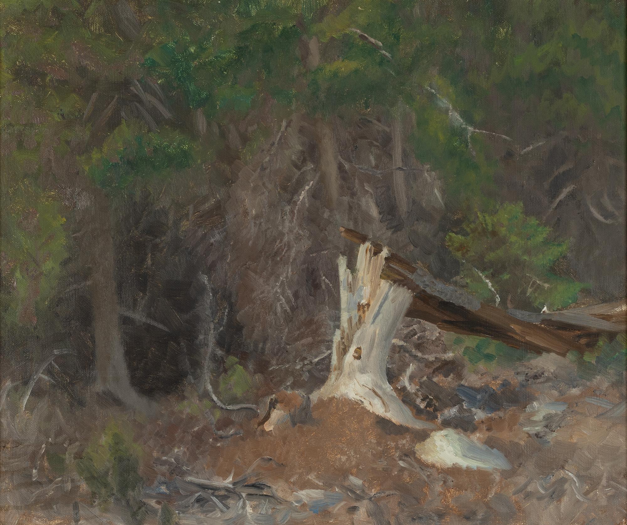 Bruno Liljefors, Forest Glade.