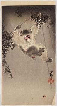 KOSON OHARA (1877-1945), färgträsnitt. 2 st, Japan, 1900-tal.