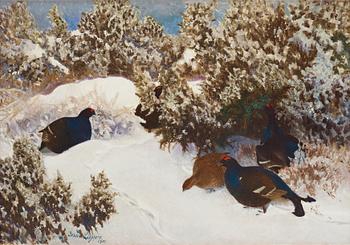 524. Bruno Liljefors, Winter landscape with black grouse.