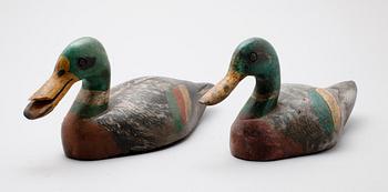 VETTAR, 2 st, 1900-tal.