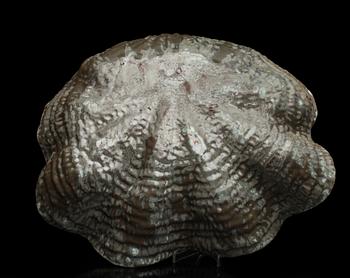 FAT, lergods, Vicke Lindstrand, Upsala-Ekeby.