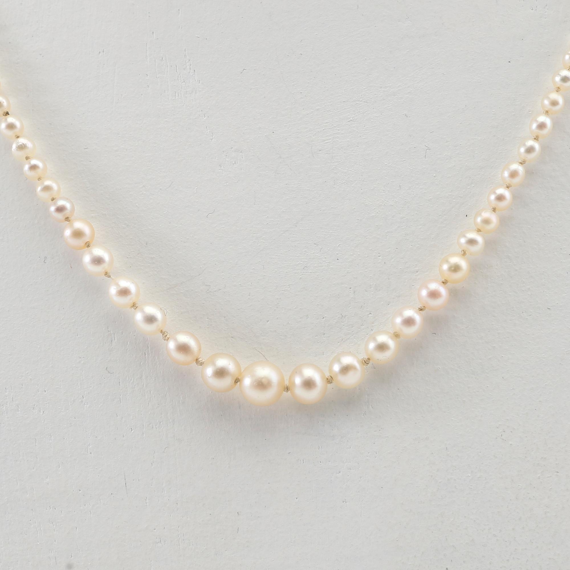Necklace of cultured pearls with a clasp of gold set with diamonds.
