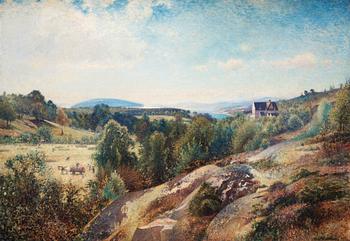78. Alfred Wahlberg, Torreby by Gullmarsfjorden.