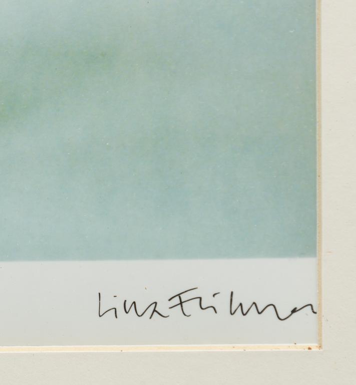 Lina Eriksson, Utan titel, 5 st.