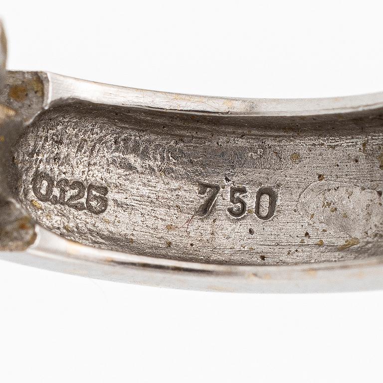 Ett par örhängen 18K vitguld med runda briljantslipade diamanter.