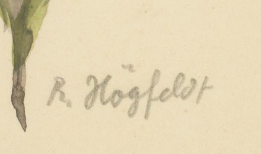 ROBERT HÖGFELDT,