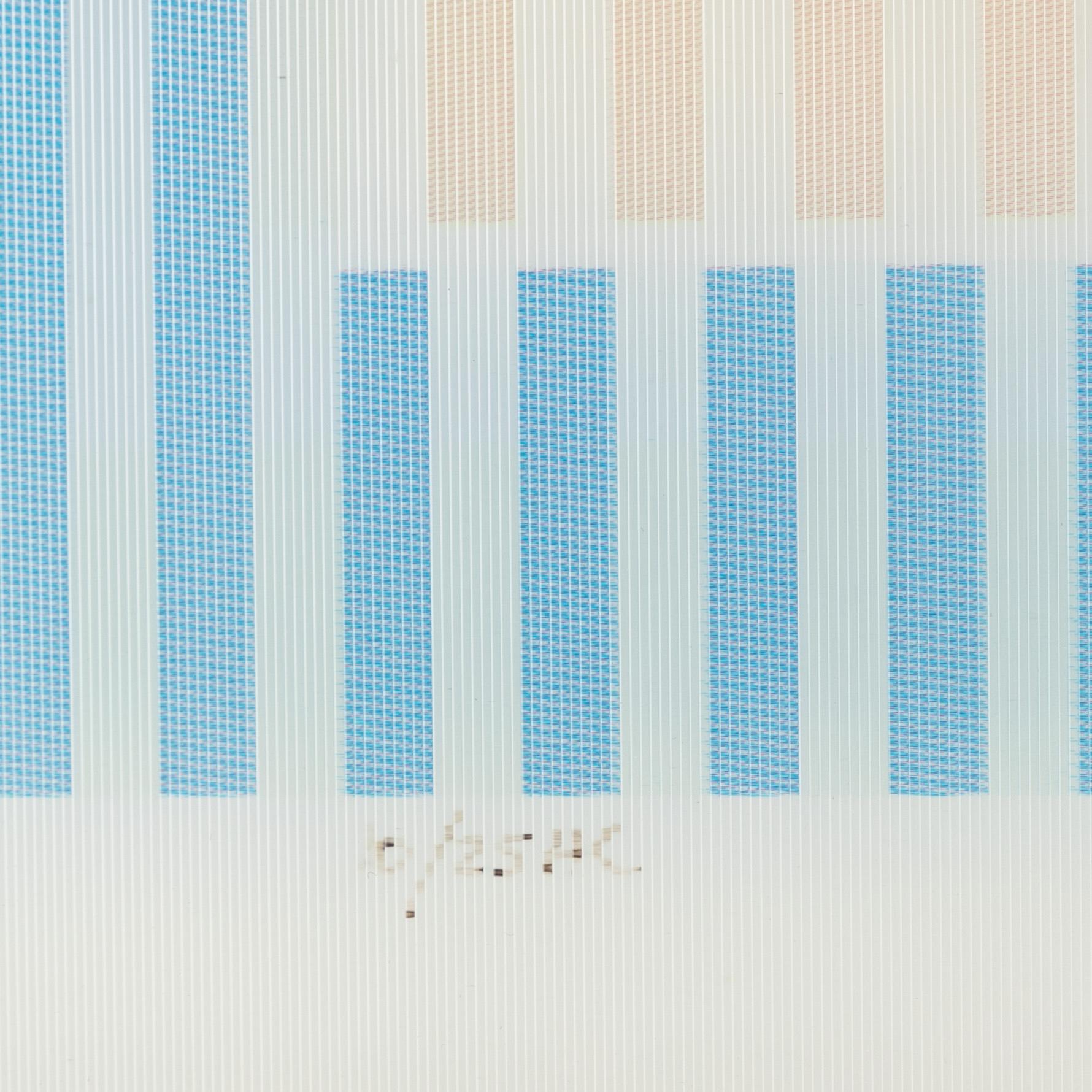 Yaacov Agam, enticular agamograph, signed in print HC 10/25.