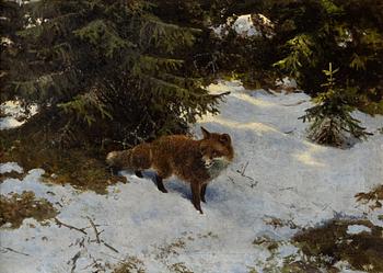 Thure Wallner, Fox in a Late Winter Landscape.