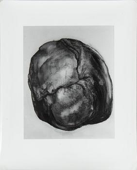 Photograph, 16 pcs, unknown artist.