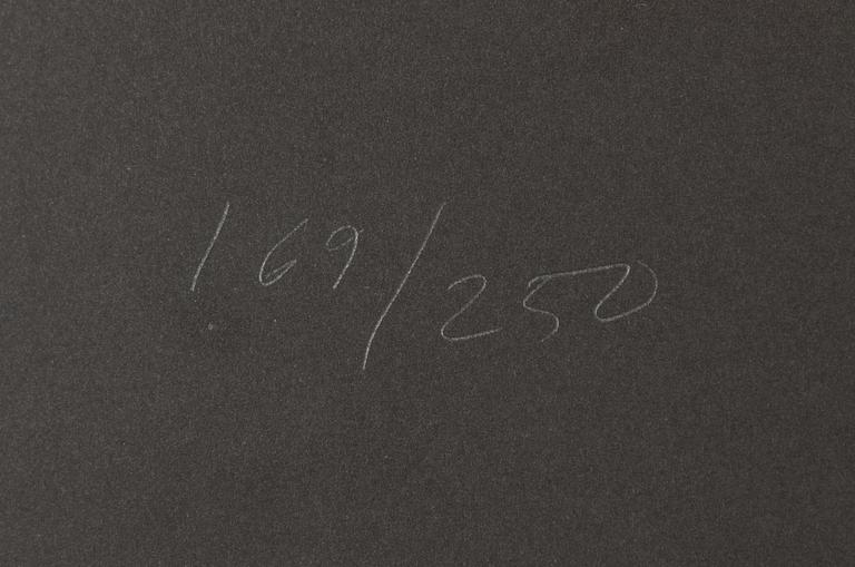 Yrjo Edelman, "Wrapped Van Gogh".