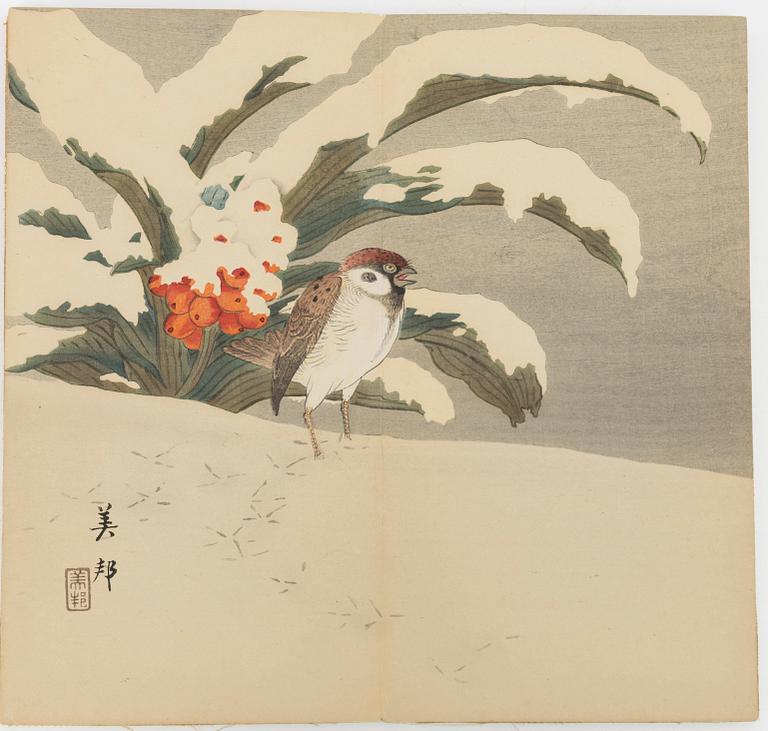 Bihō Takahashi (aktive around 1890-1930), album with 12 woodblock prints, publisher Heikichi Matsuki.