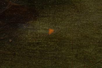 Anthoine Jansz van der Croos, his successor, Expansive landscapes.