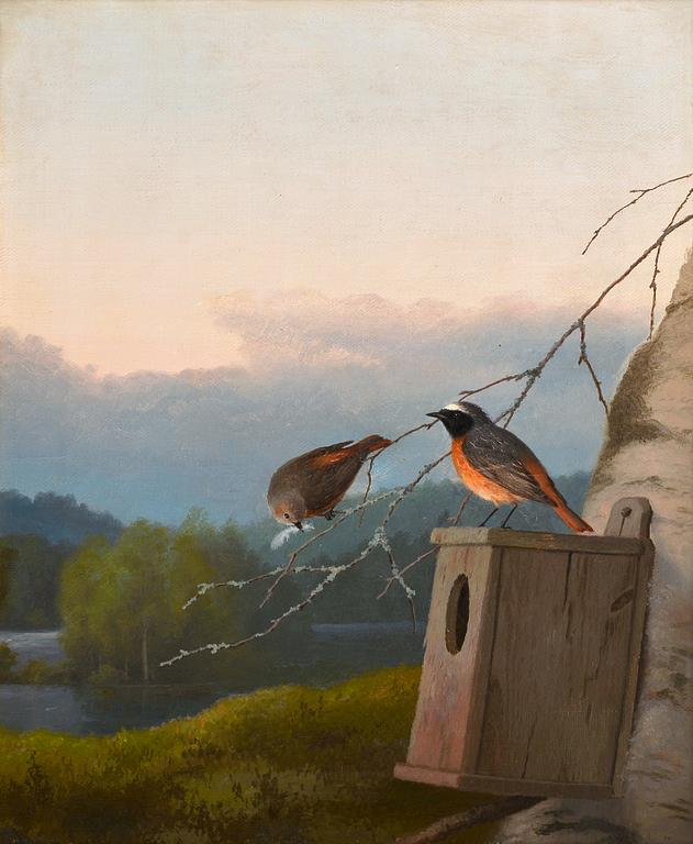 Ferdinand von Wright, LEPPÄLINTUJA PESÄLLÄ.