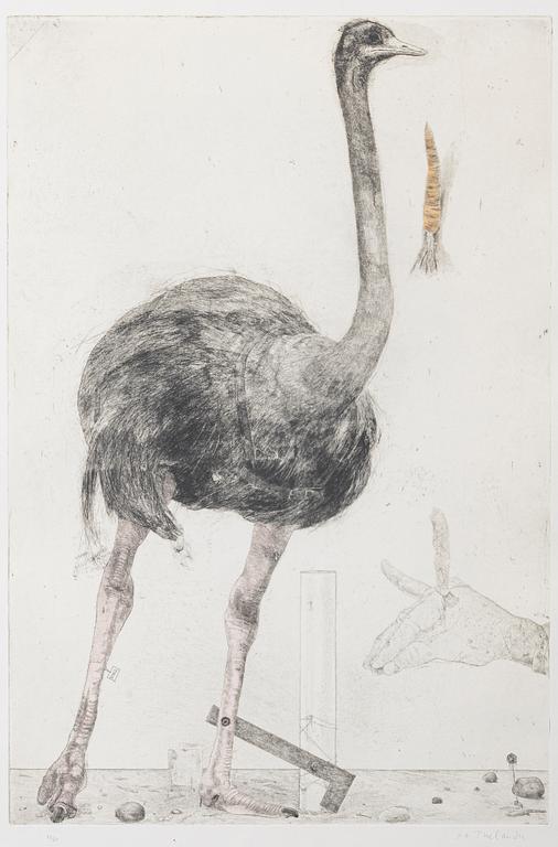 PG Thelander, "Europeiska strutsar VI".