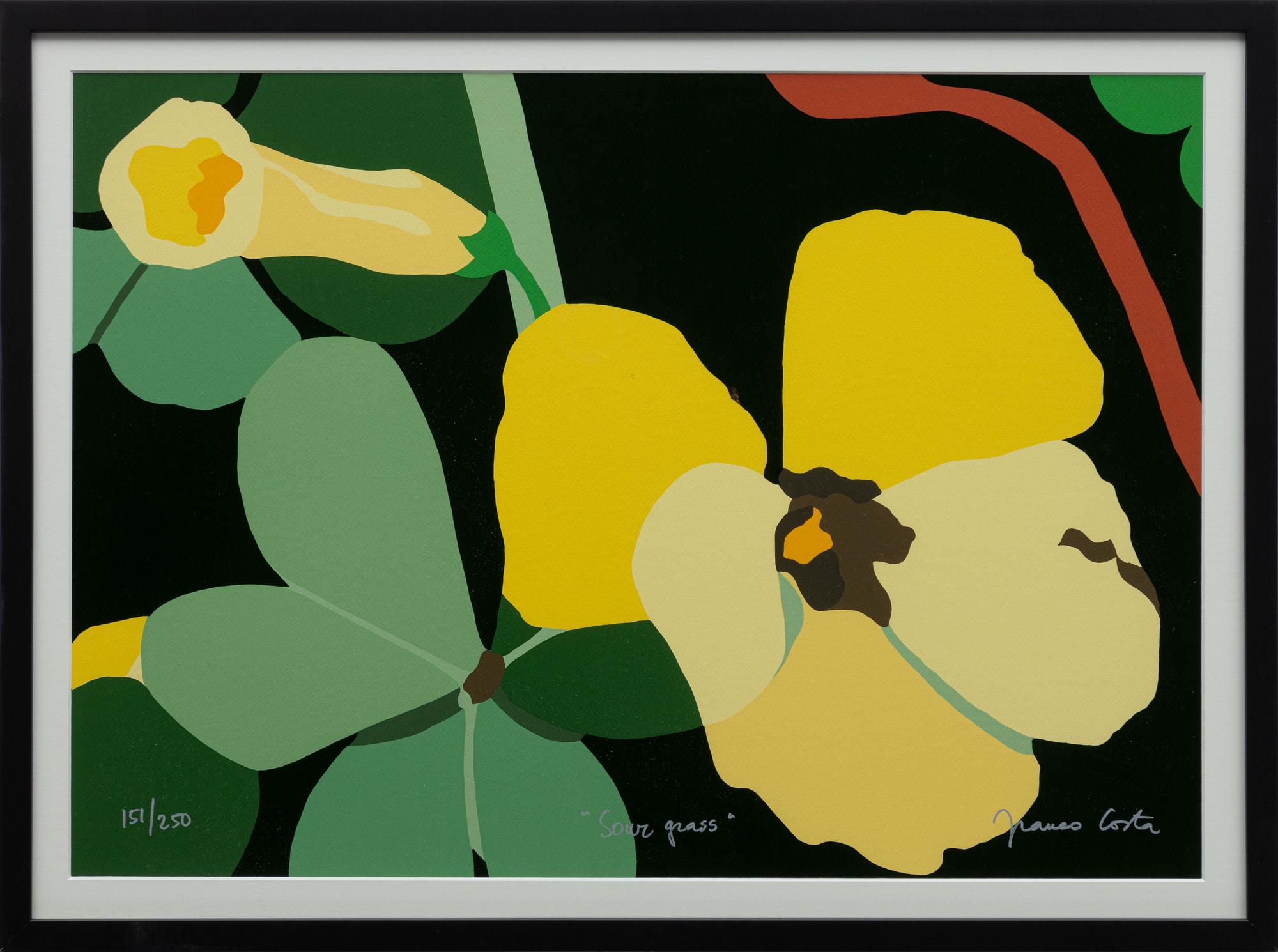 Franco Costa, "Sour Grass".