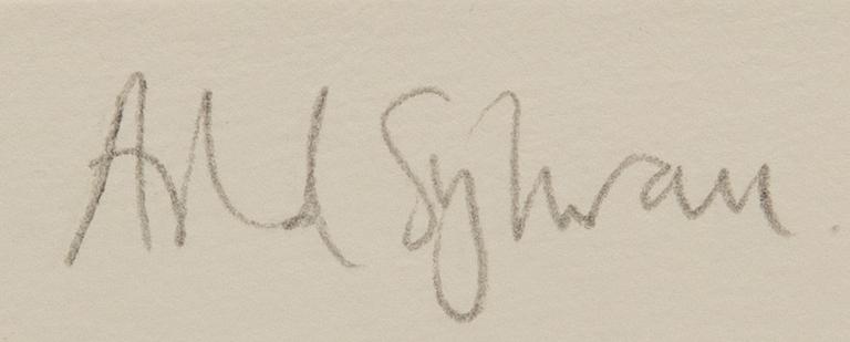 Astrid Sylwan, untitled.