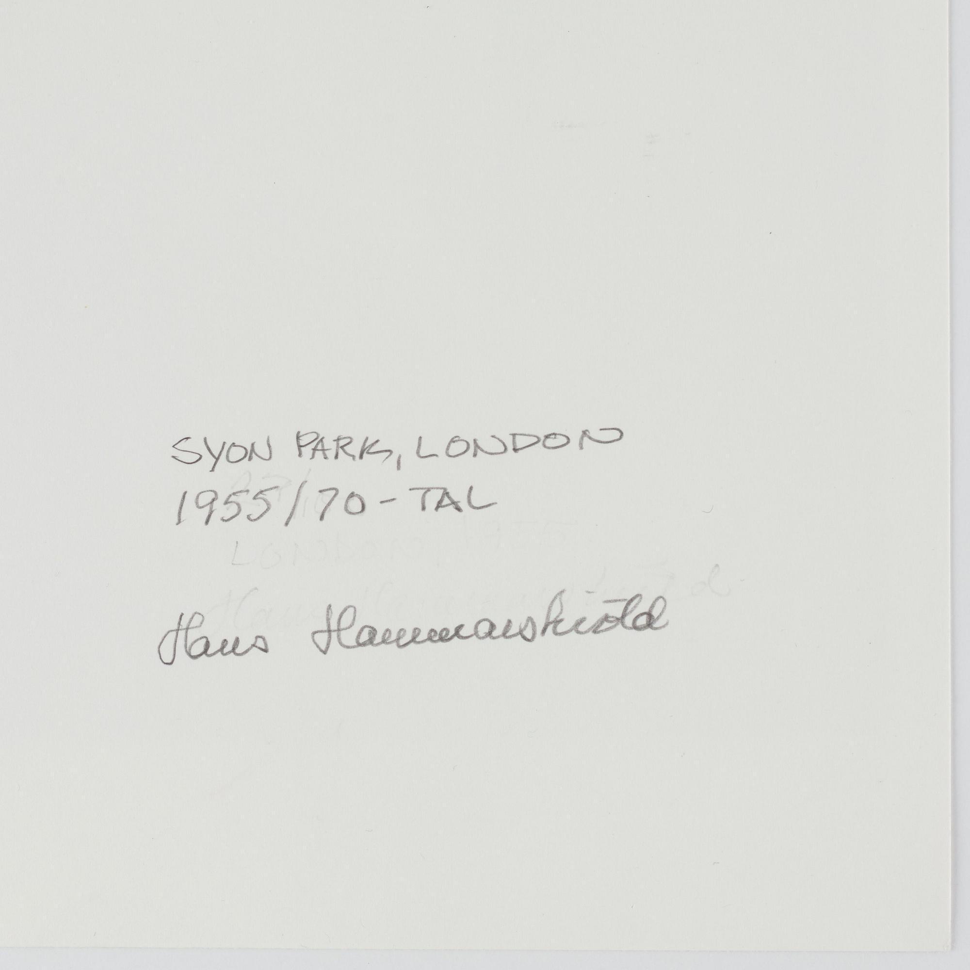 Hans Hammarskiöld, "Syon Park, London", 1955.