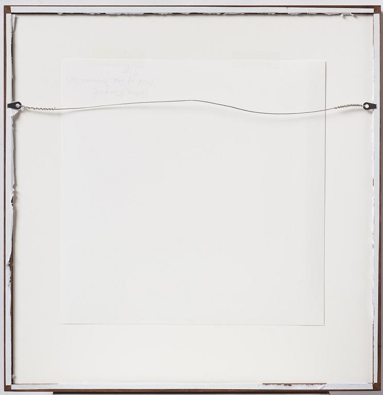 Helena Blomqvist, "Field of Red Anemones", 2012.